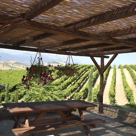 Castilenti Contado San Lorenzo B&B And Wine מראה חיצוני תמונה