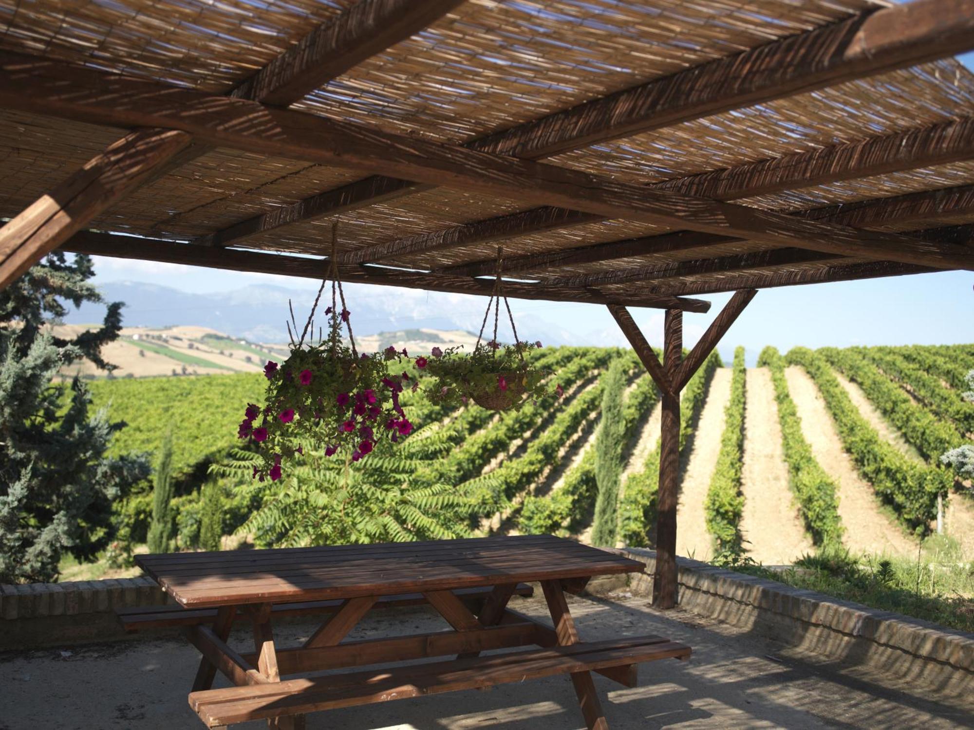 Castilenti Contado San Lorenzo B&B And Wine מראה חיצוני תמונה