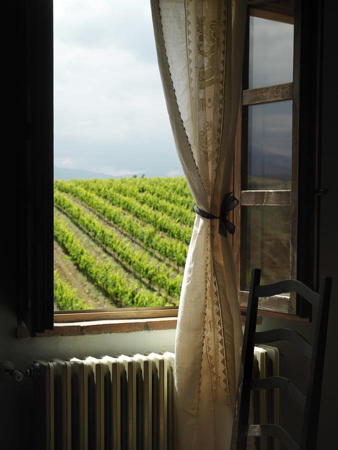 Castilenti Contado San Lorenzo B&B And Wine מראה חיצוני תמונה