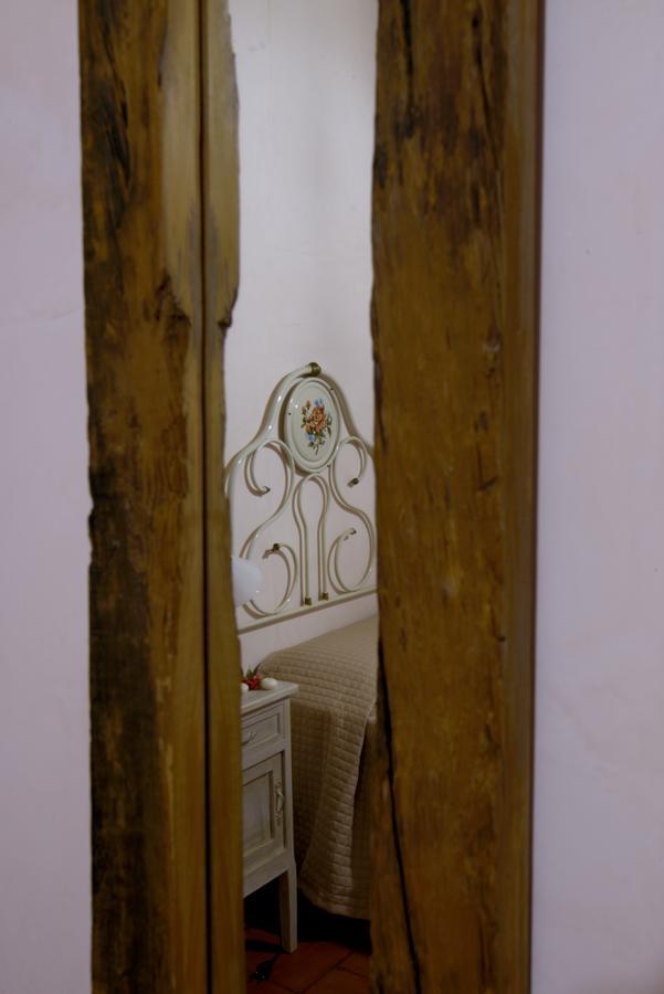 Castilenti Contado San Lorenzo B&B And Wine מראה חיצוני תמונה